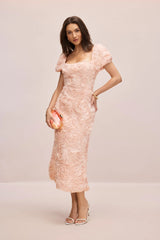 FIORENZA Midi Dress