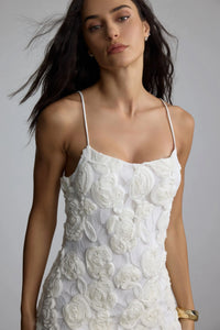BEVERLY Floral Applique Plissé Chiffon Mini Dress